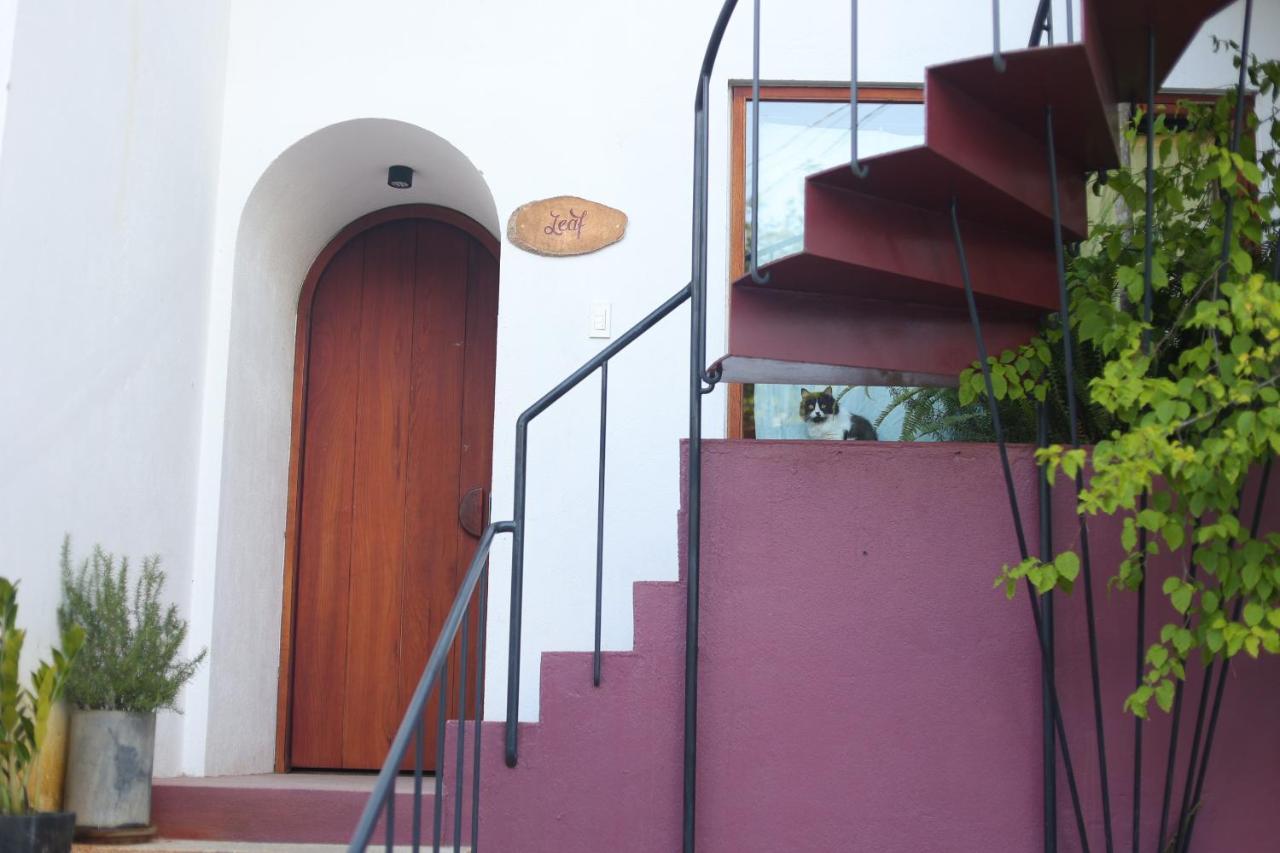 Cherry Suites Dalat Exterior foto